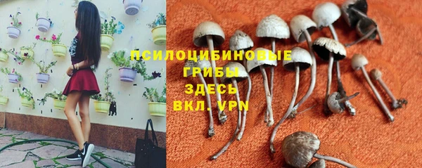 дживик Арсеньев
