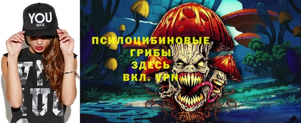 дживик Арсеньев