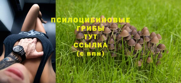 прущие крисы Армянск